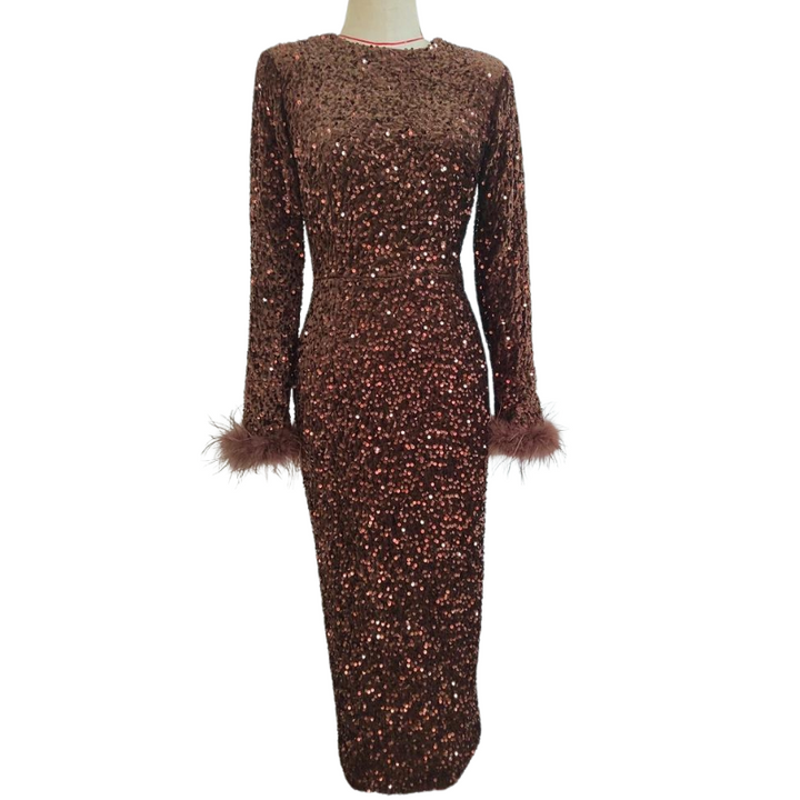 Robe Paillette Manches Plumes marron