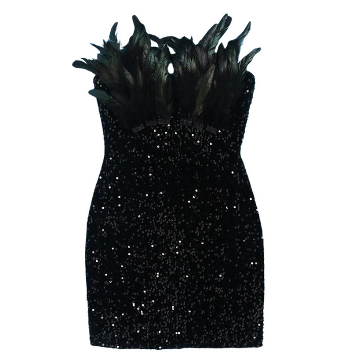 Mini Robe Noir Soirée Paillette Bustier Plumes