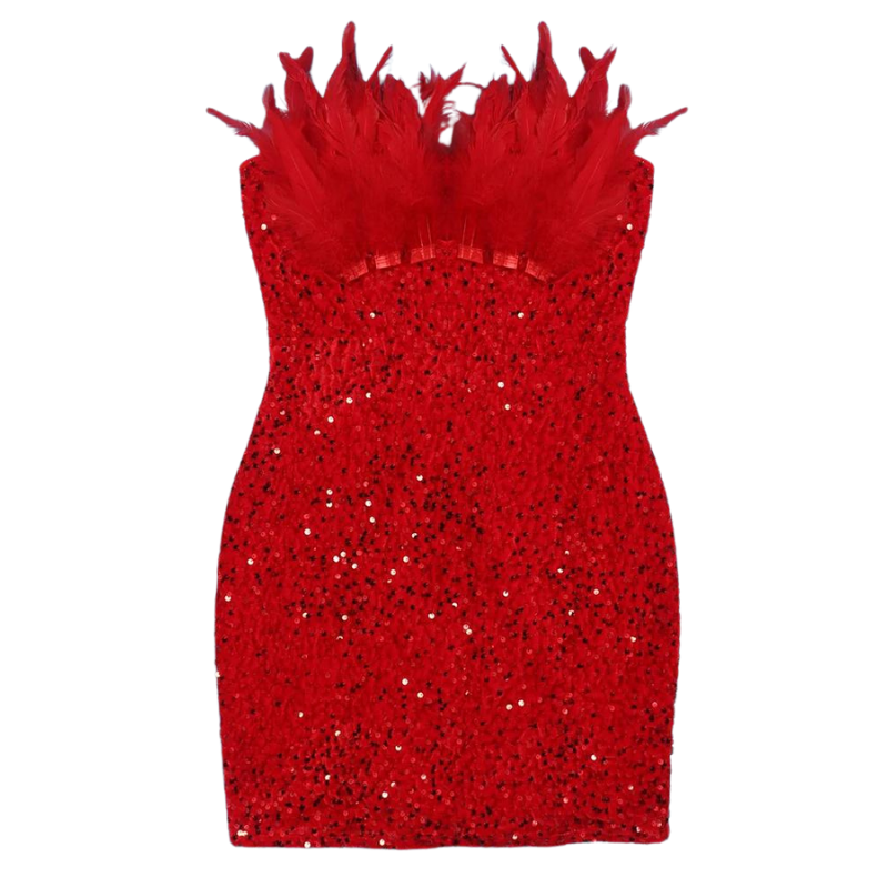 Mini Robe Rouge Soirée Paillette Bustier Plumes